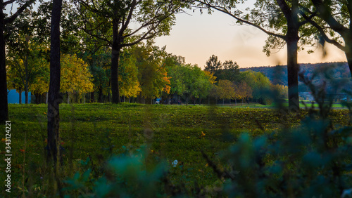 Parklandschaft an der Donau bei beginnendem Herbst