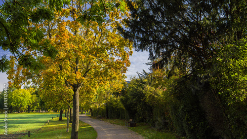 Wunderschöne goldene Herbstlandschaft bei Sonnenschein in Regensburg