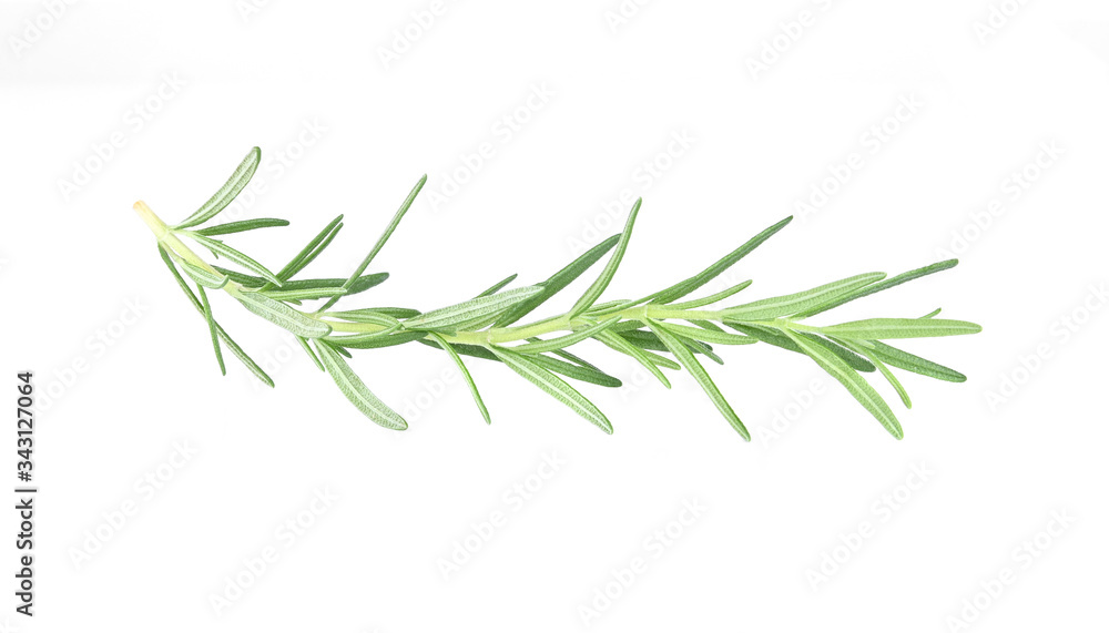 Fototapeta premium Rosemary isolated on white background.