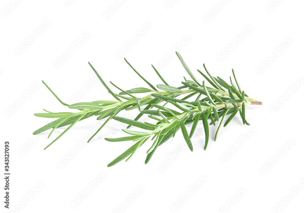 Rosemary isolated on white background. Rosemary isolated on white background.
