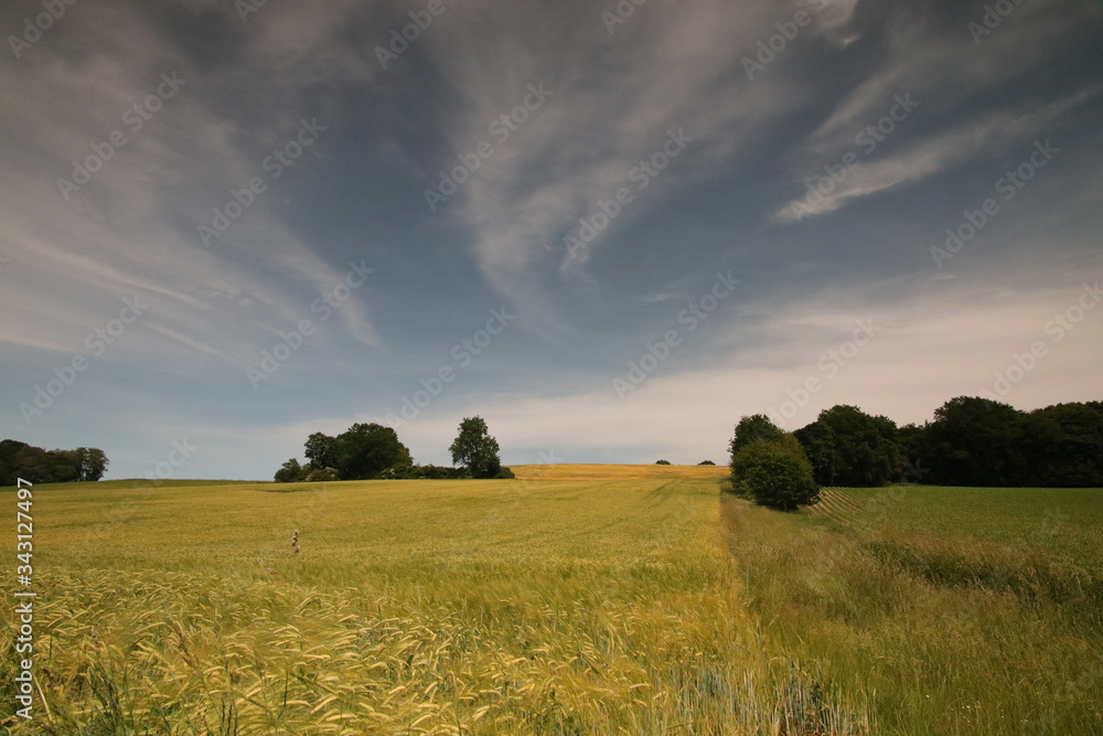 Fototapeta premium Bayrische Berglandschaft