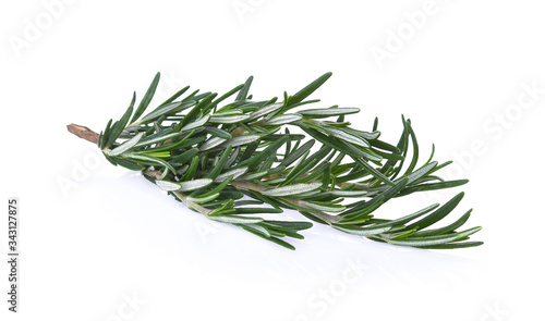 Rosemary isolated on white background