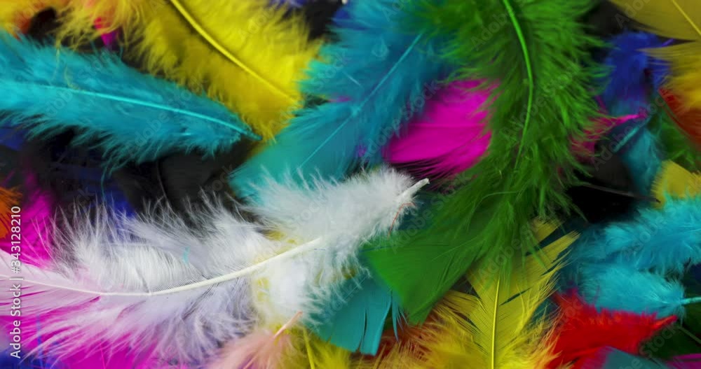 Pile of brightly colored, fluffy feathers. Pile of brightly colored, fluffy feathers.