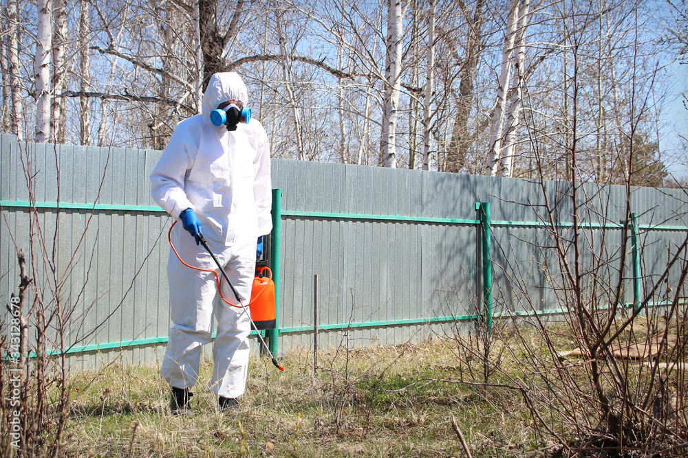 Disinsection treatment against ticks Disinsection treatment against ticks