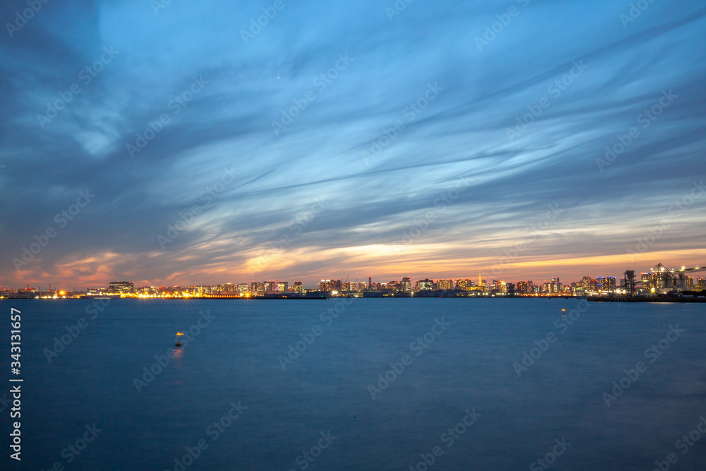 若洲海浜公園から見た東京湾越の東京の夜景
