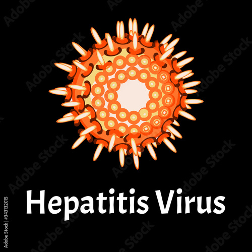 Hepatitis virus structure. Viral infection Hepatitis. Sexually transmitted diseases. Infographics. Vector illustration on isolated background.