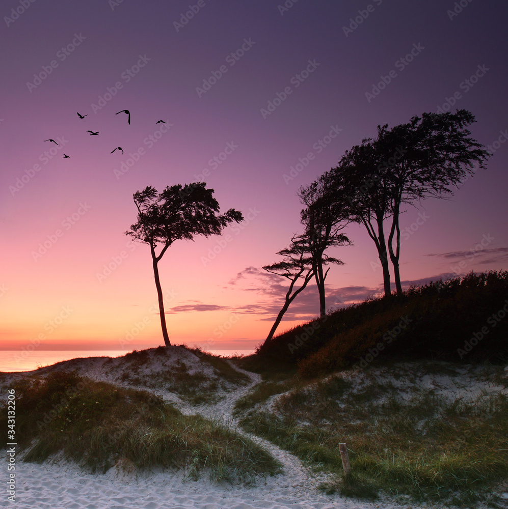 Abends am Weststrand Abends am Weststrand