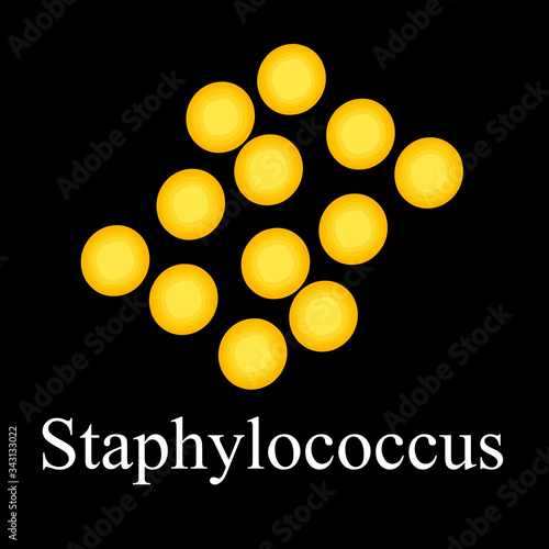Staphylococcus aureus. Bacteria staphylococcus. Infographics. Vector illustration on isolated background.