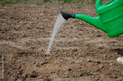 Watering can with water watered seedlings in the garden