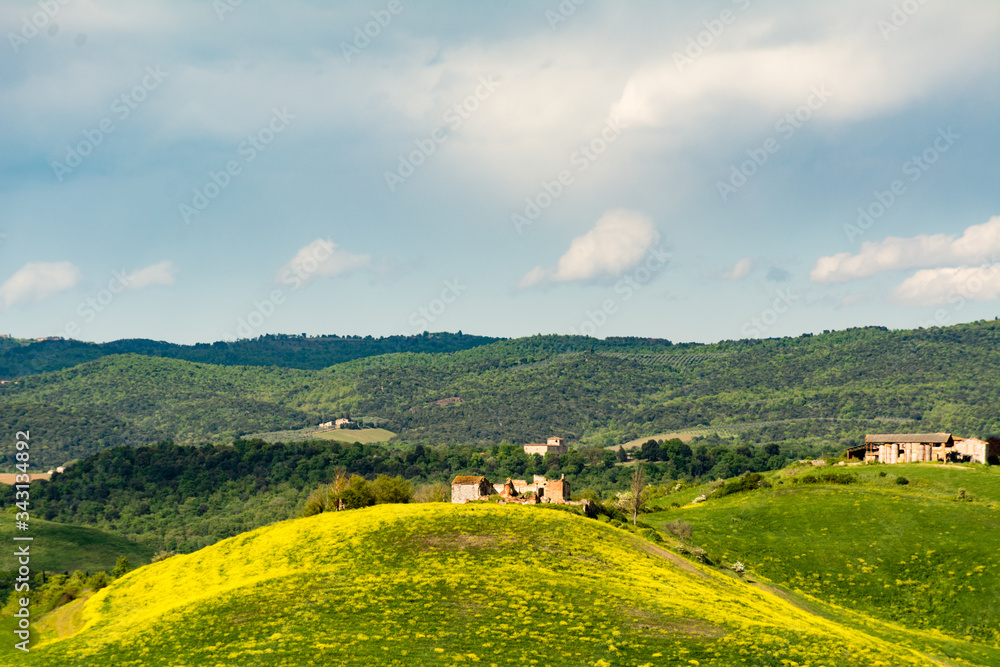 Scenic View Of Green Landscape Against Sky