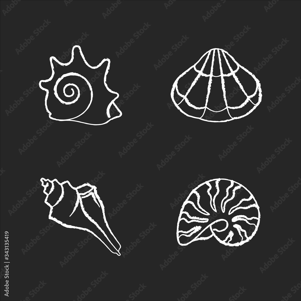 Various seashells chalk white icons set on black background