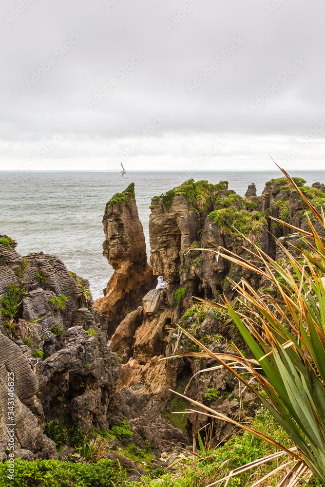 Picturesque coast of South Island. Pancake Rocks. Paparoa national park. New Zealand