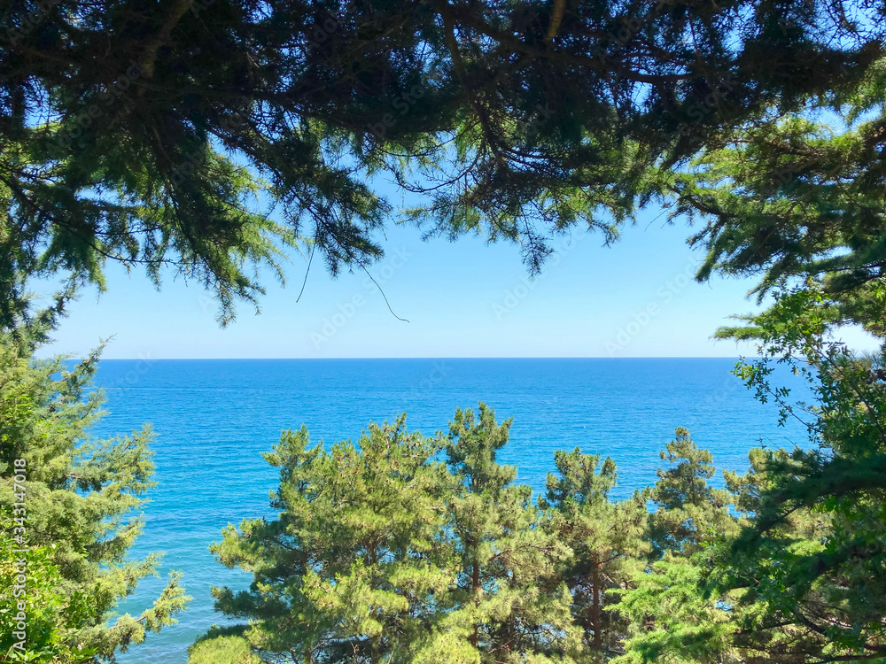 view of the blue sea through the branches of trees on a sunny summer day. calm. Beautiful natural landscape with copyspace. selective focus.