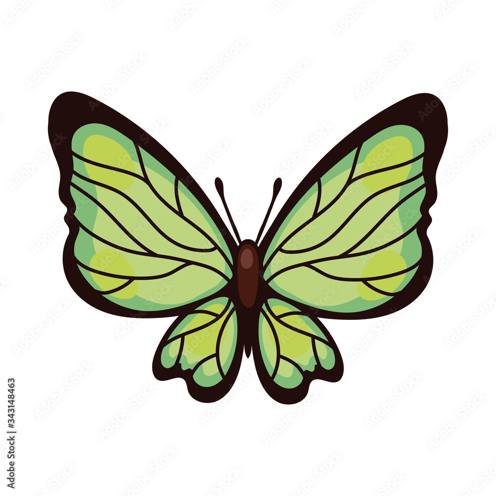beautiful butterfly green insect flat style icon beautiful butterfly green insect flat style icon