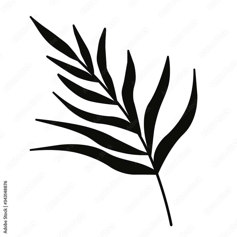 Palm leaf. Black-white set minimalistic set. Simple vector illustration on a white background. Palm leaf. Black-white set minimalistic set. Simple vector illustration on a white background.
