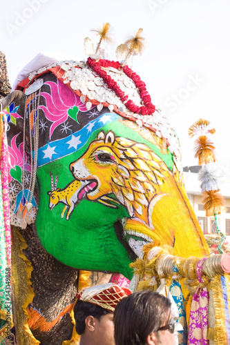 colorful elephant , festival , Jaipur, Rajasthan, India 