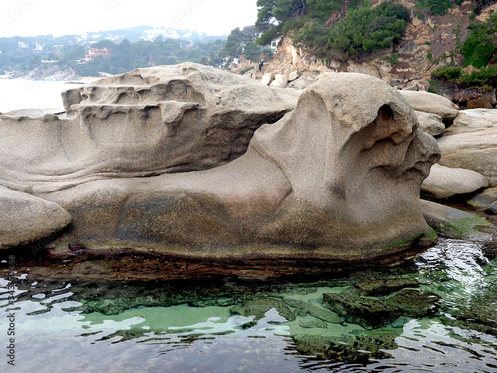 Fototapeta premium Roca en forma de león descansando en litoral Costa brava