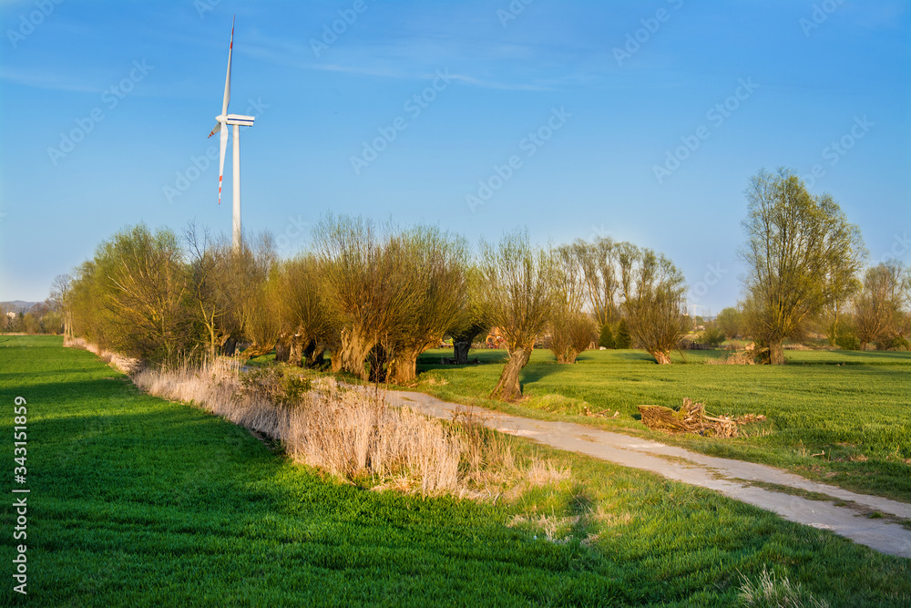 Fototapeta premium wind farm, field and trees, beautiful spring landscape