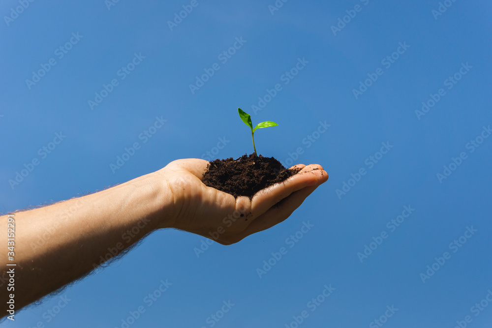 Man holding a little growing plant in front of blue sky. Eco friendly and natural concept. Man holding a little growing plant in front of blue sky. Eco friendly and natural concept.