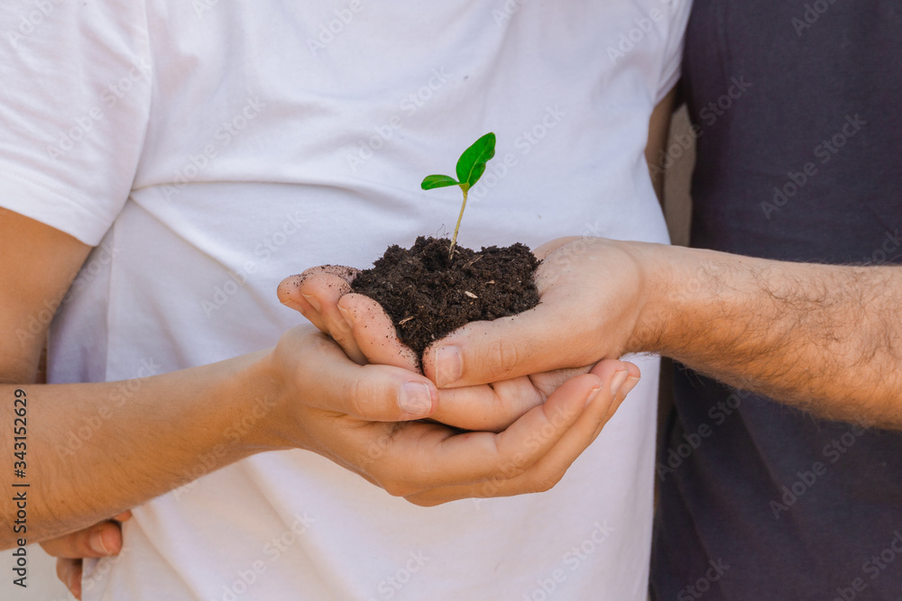 Couple holding and caring a little growing plant. Eco friendly and natural concept. Plant and soil on their hands. Couple holding and caring a little growing plant. Eco friendly and natural concept. Plant and soil on their hands.