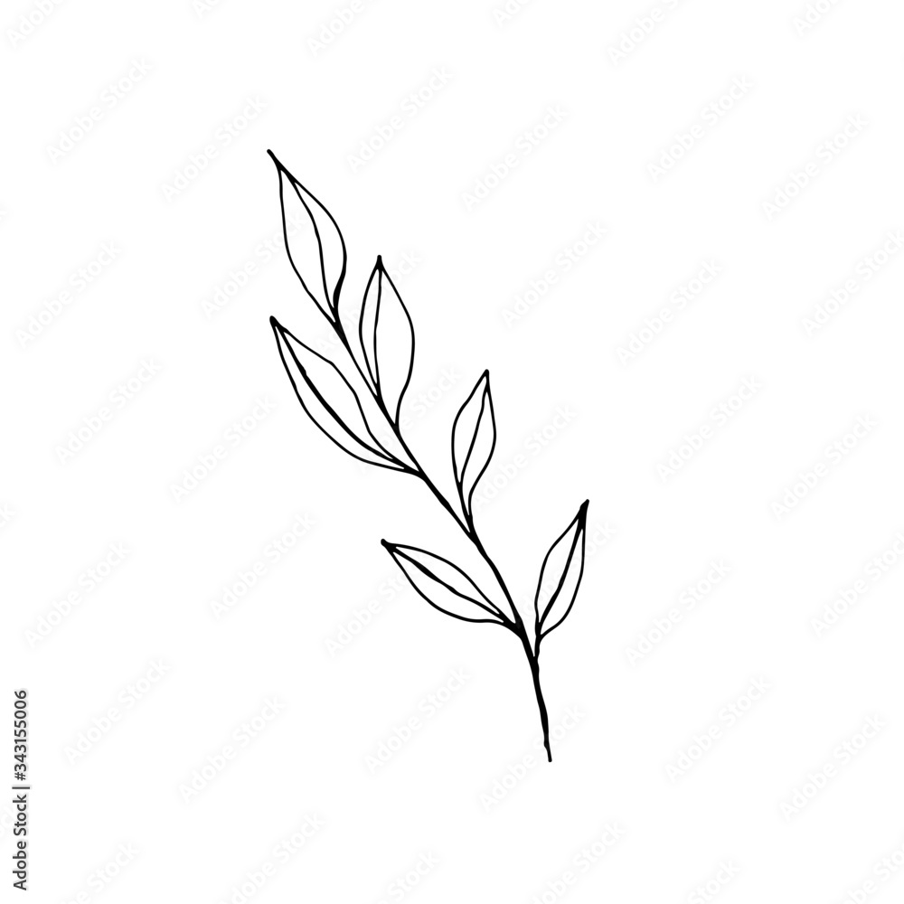 Field plants, flowers in doodle style. Stylized floral objects for design. Logo decorative twigs, leaflets, flowers.