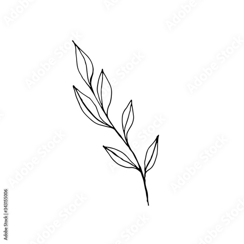 Field plants, flowers in doodle style. Stylized floral objects for design. Logo decorative twigs, leaflets, flowers.