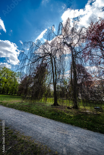 A day in the Spreewald
