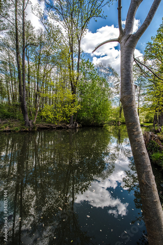 A day in the Spreewald