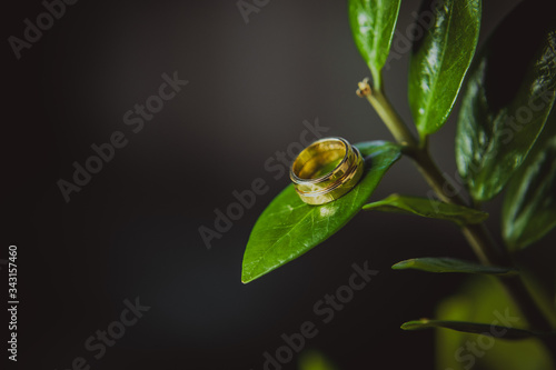 Wallpaper Mural obrączka Torontodigital.ca