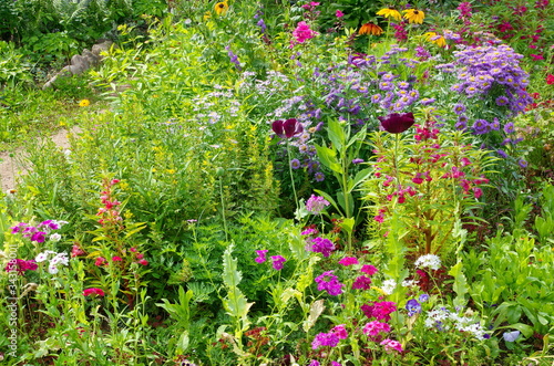 Decorative flowerbed with garden flowers