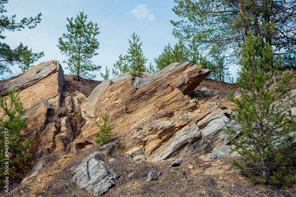 Basalt rocks in the forest
