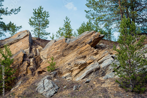 Basalt rocks in the forest