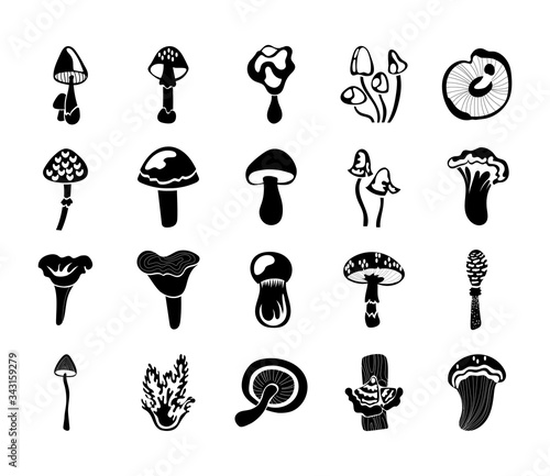 bundle of fungus set icons