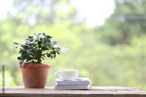 White coffee cup with small plant in old brown pot with white thick book on wooden table at outdoor with nature bokeh background
