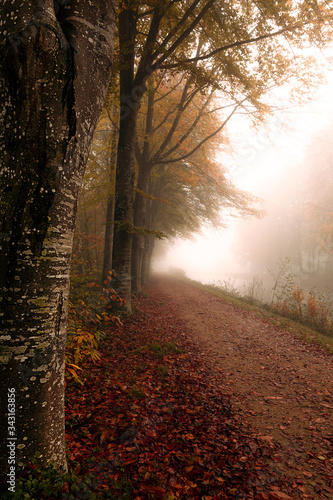 Automne