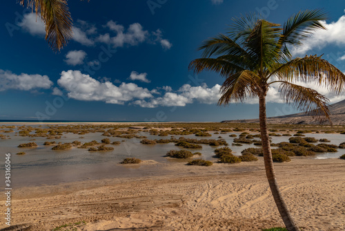 Canary Island of Fuerteventura