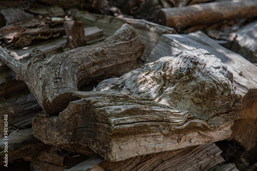 Wallpaper Mural Old tree trunks. Grunge wooden textures of aged tree wood closeup. Natural shades of brown grey hardwood Torontodigital.ca