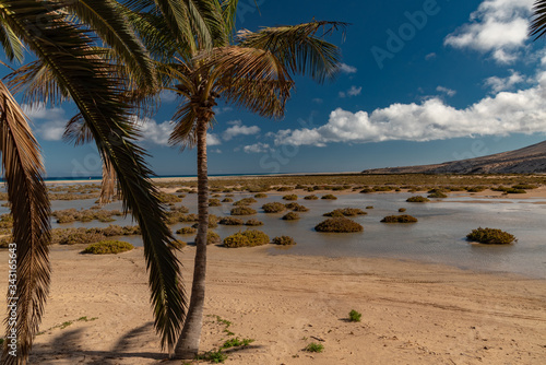 Fototapeta Naklejka Na Ścianę i Meble -  Canary Island of Fuerteventura