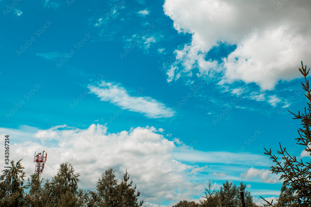 Beautiful blue sky with Cirrus Cumulus clouds. Sky background in Sunny weather against the tops of green trees. Beautiful blue sky with Cirrus Cumulus clouds. Sky background in Sunny weather against the tops of green trees.
