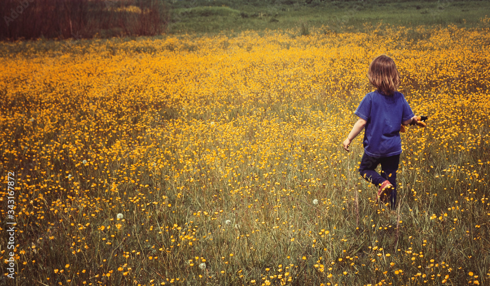 girl walking on a yellow field of flowers girl walking on a yellow field of flowers