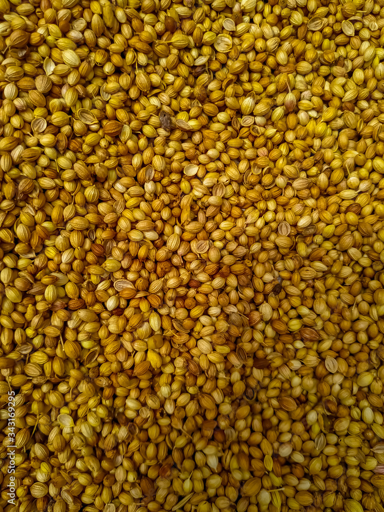 Whole dry dhaniya or coriander spice vegetable food, closeup. Nepal Whole dry dhaniya or coriander spice vegetable food, closeup. Nepal