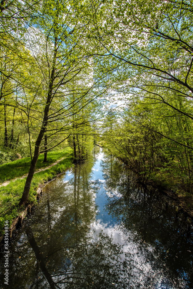 A day in the Spreewald
