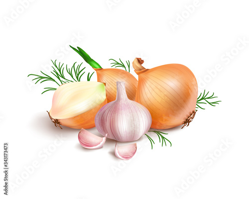Photo realistic vector onion and garlic on white background. Vector illust