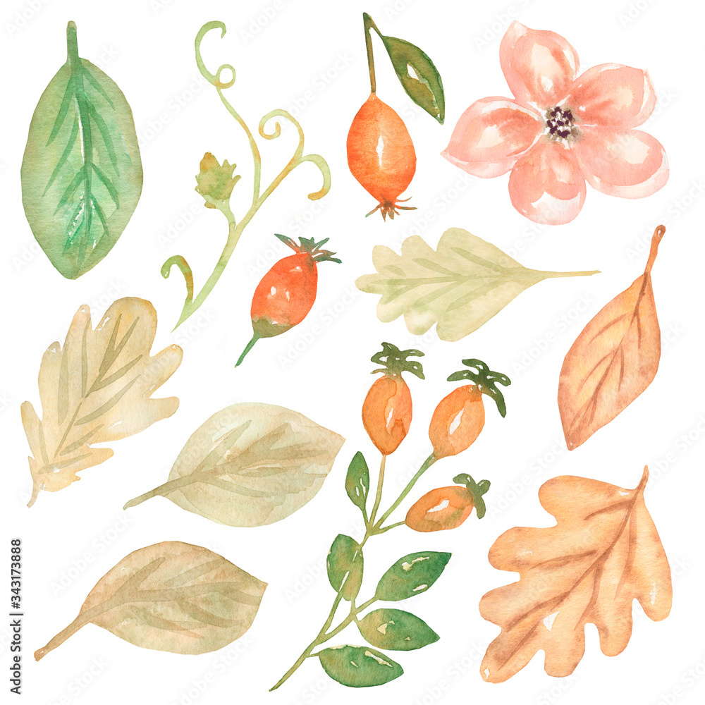 Obraz premium Watercolor leaves illustration. Floral clipart, flower, dogrose hand drawn.Autumn foliage graphic set.