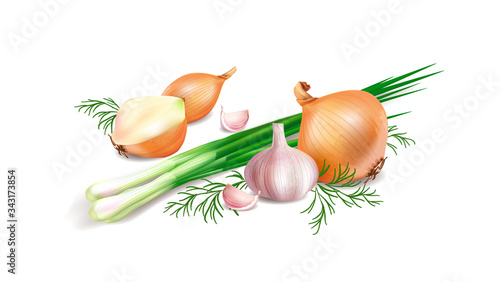 Photo realistic vector onion, green onions and garlic on white background. Vector illustration.