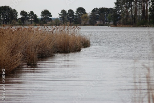 Lake and reeds © telearlens