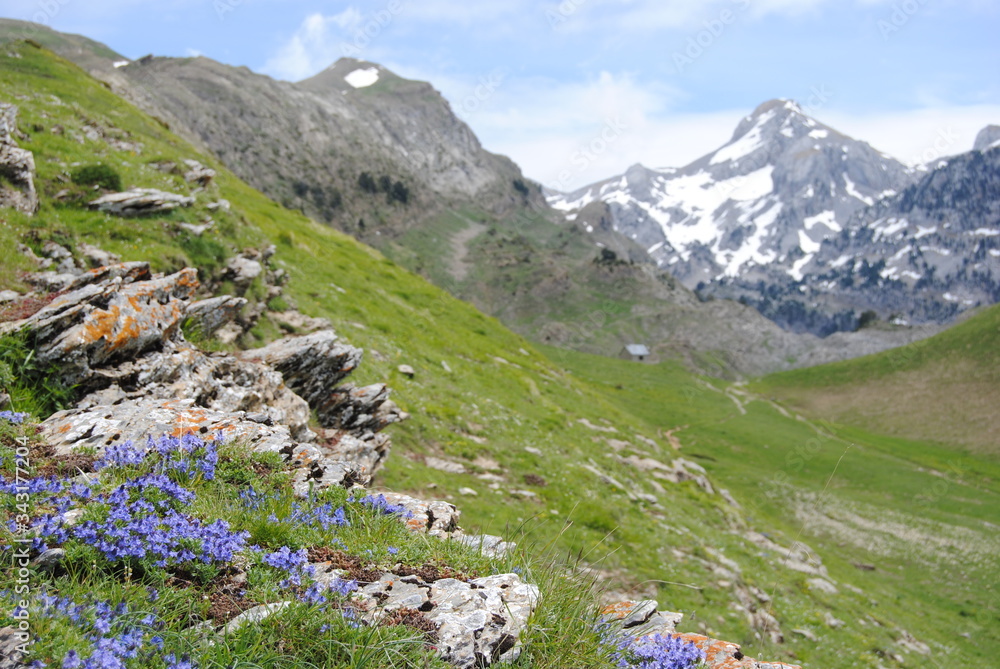 Fototapeta premium pirineos