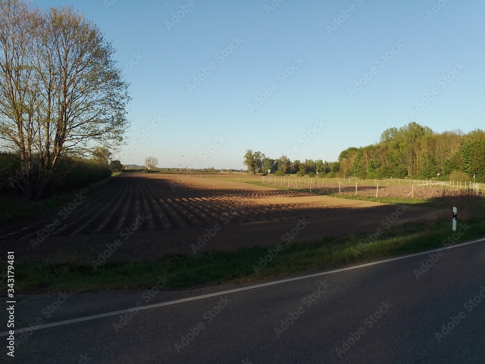 Fototapeta premium Spring