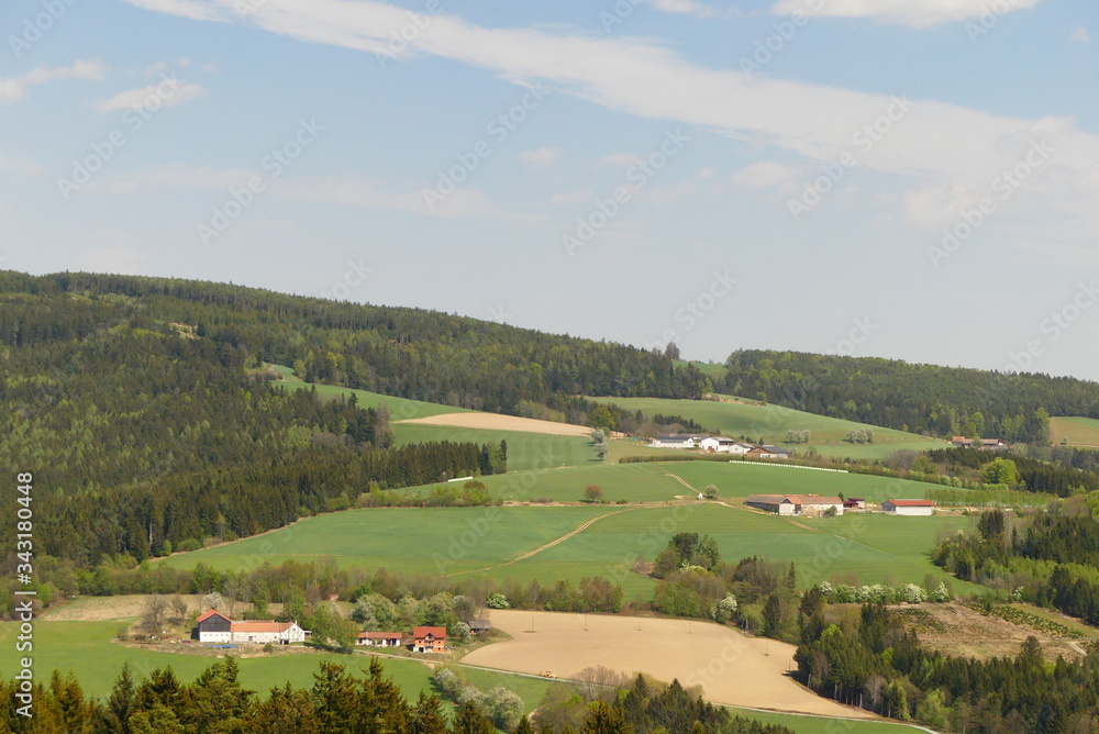 Landschaft, im südlichen Niederösterreich