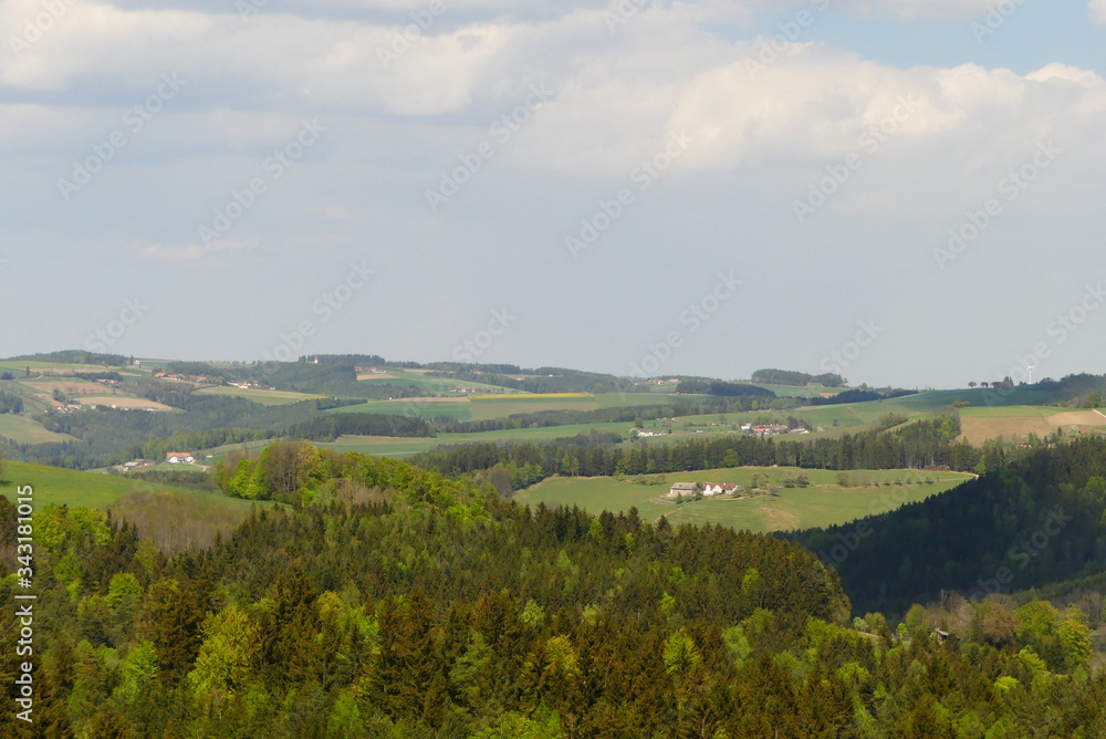 Land- und Forstwirtschaft